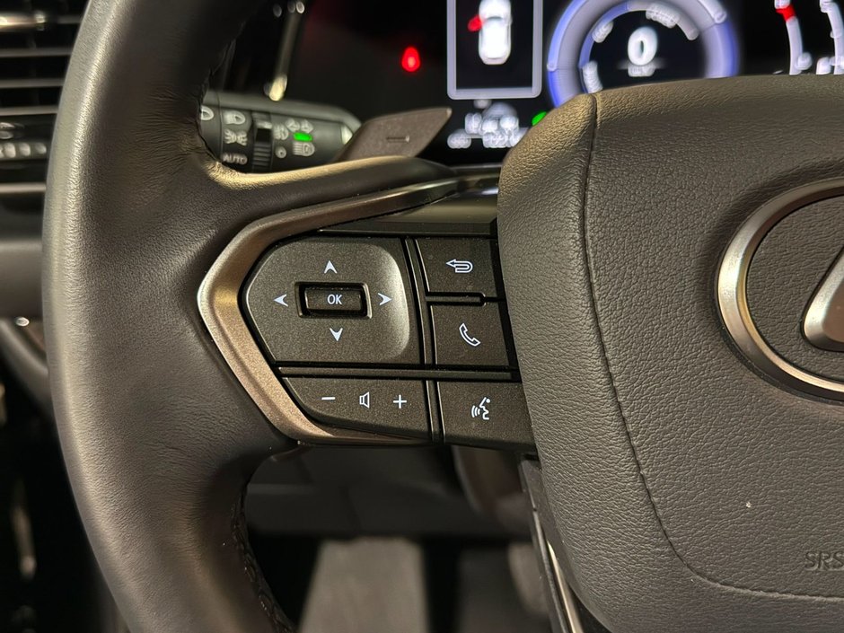 2025 Lexus NX 350h PREMIUM PACKAGE-12