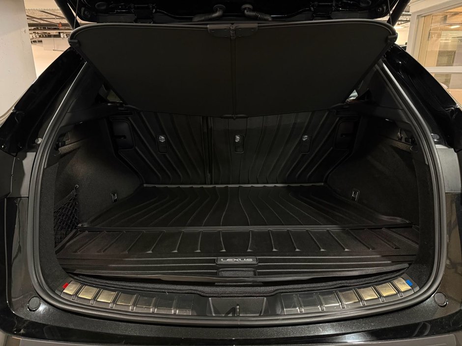 2025 Lexus NX 350h PREMIUM PACKAGE-9
