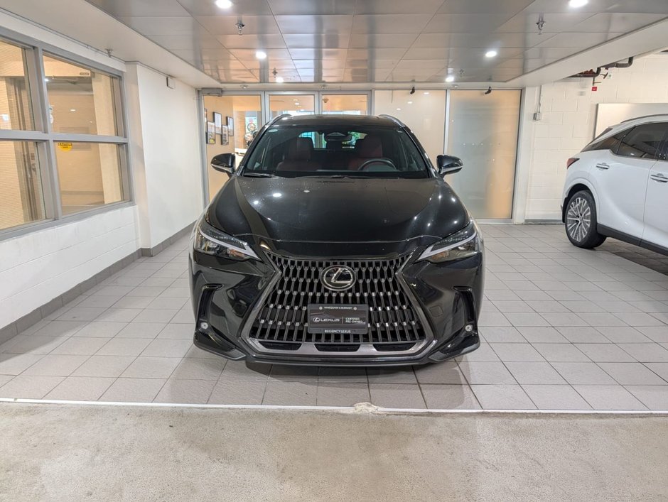 2025 Lexus NX 350h PREMIUM PACKAGE-1