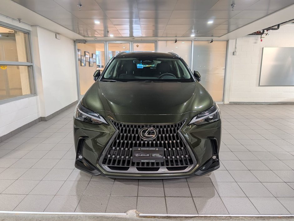 2025 Lexus NX 350h-1