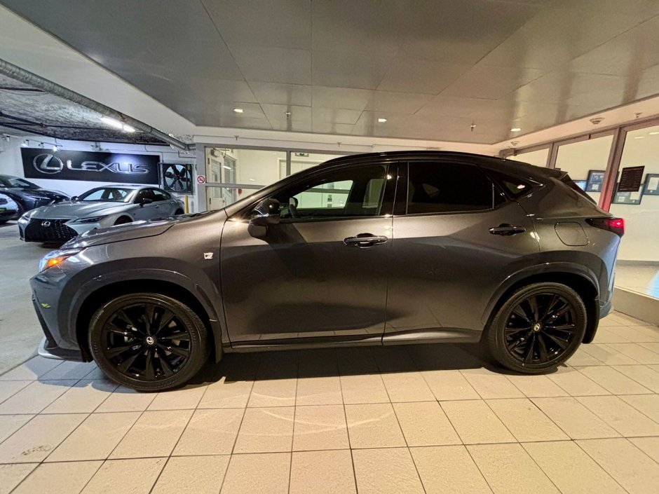 2026 Lexus NX 350h-3
