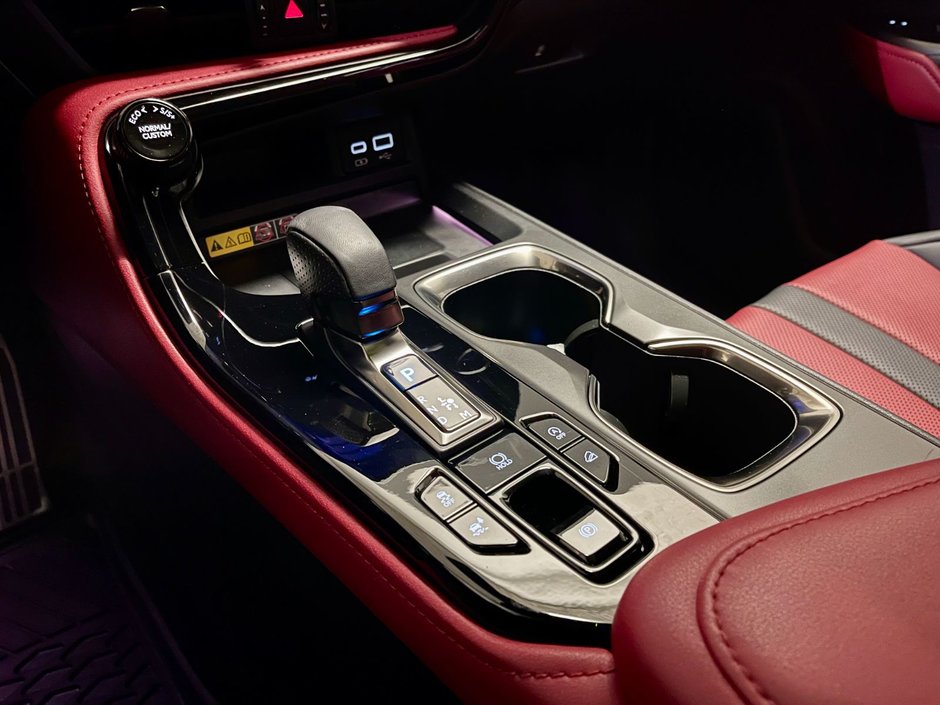 2022 Lexus NX 350 F-SPORT#2 AWD-18