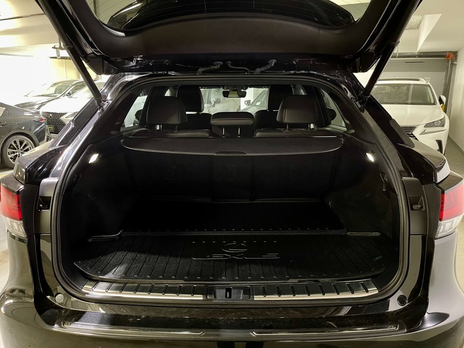 2021 Lexus RX 350 AWD RX 350-11