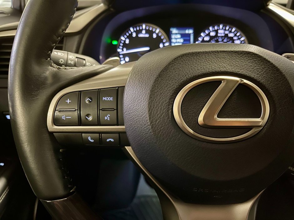 2021 Lexus RX 350 AWD LUXURY PKG-15