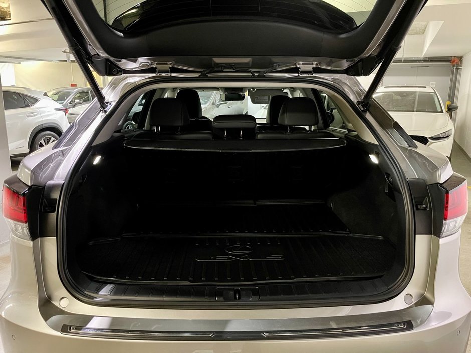 2021 Lexus RX 350 AWD LUXURY PKG-11