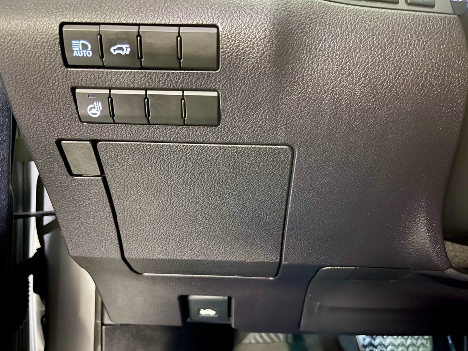 2021 Lexus RX 350 AWD LUXURY PKG-21