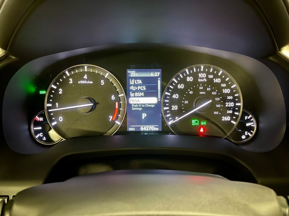 2021 Lexus RX 350 AWD LUXURY PKG-17