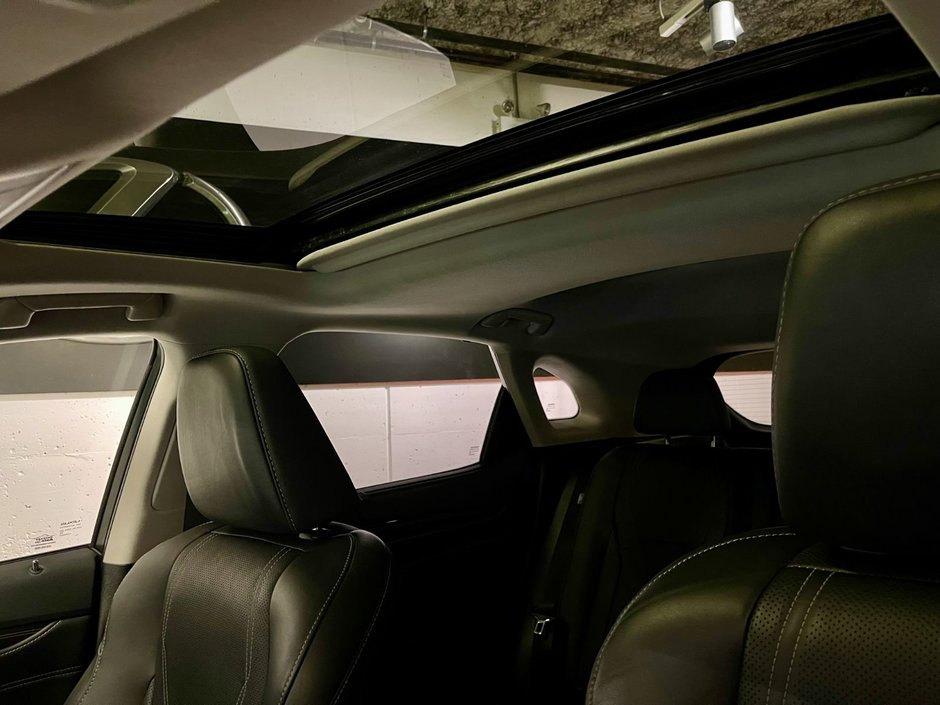 2021 Lexus RX 350 AWD LUXURY PKG-22