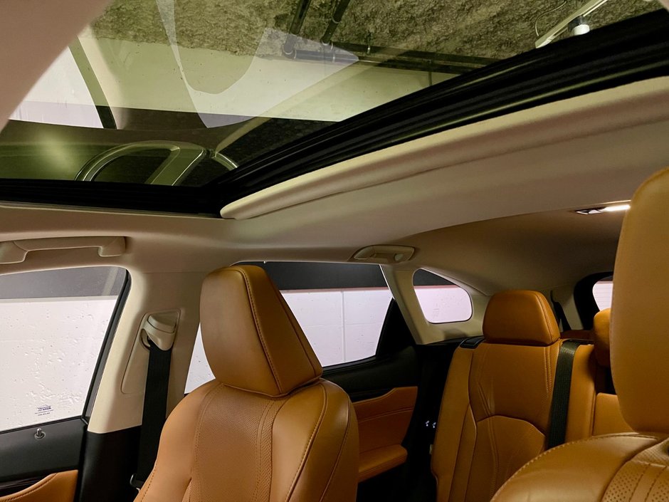 2022 Lexus RX 350 L LUXURY PACKAGE-20