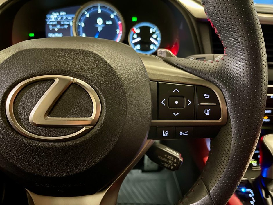 2022 Lexus RX 350 F-SPORT 2-16