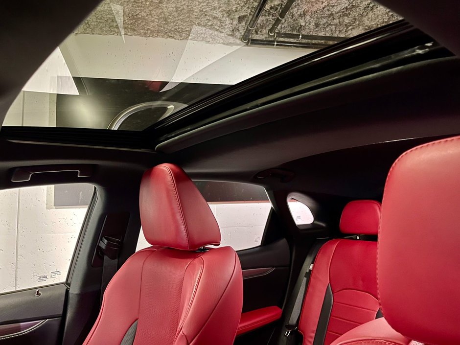 2022 Lexus RX 350 F-SPORT 2-22