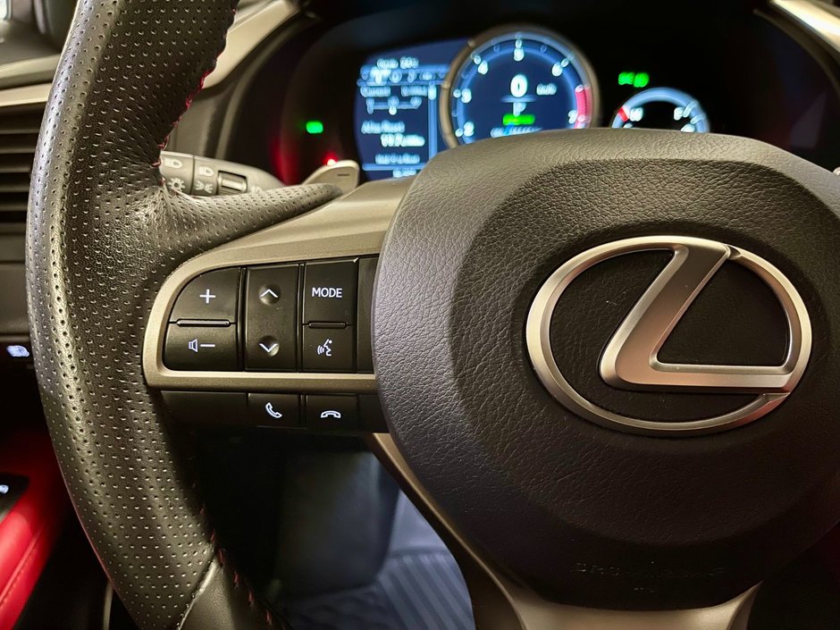 2022 Lexus RX 350 F-SPORT 3-14