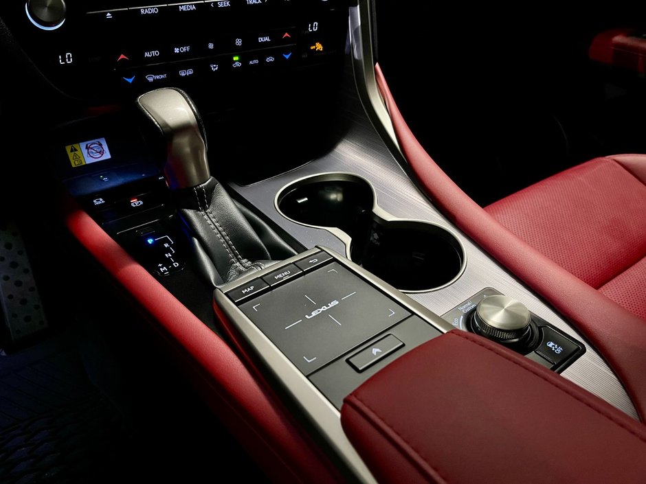 2022 Lexus RX 350 F-SPORT 3-17