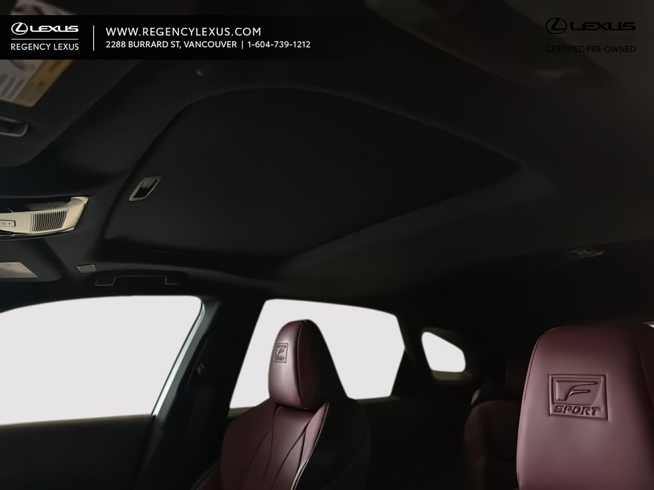 2023 Lexus RX 350-9