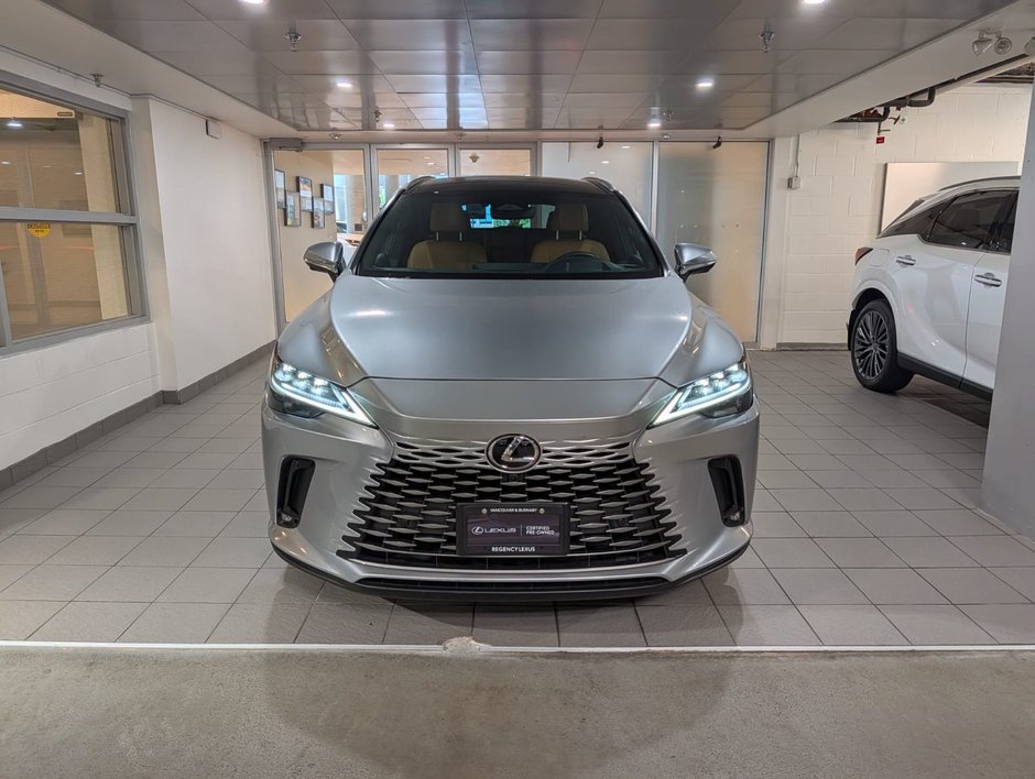 2023 Lexus RX 350-1