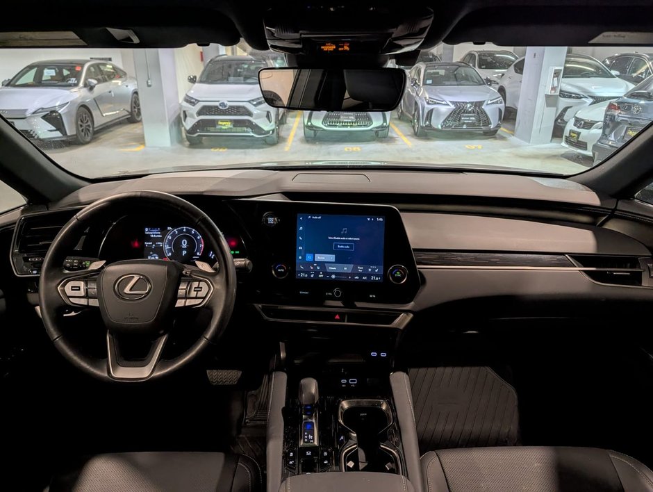 2023 Lexus RX 350-3