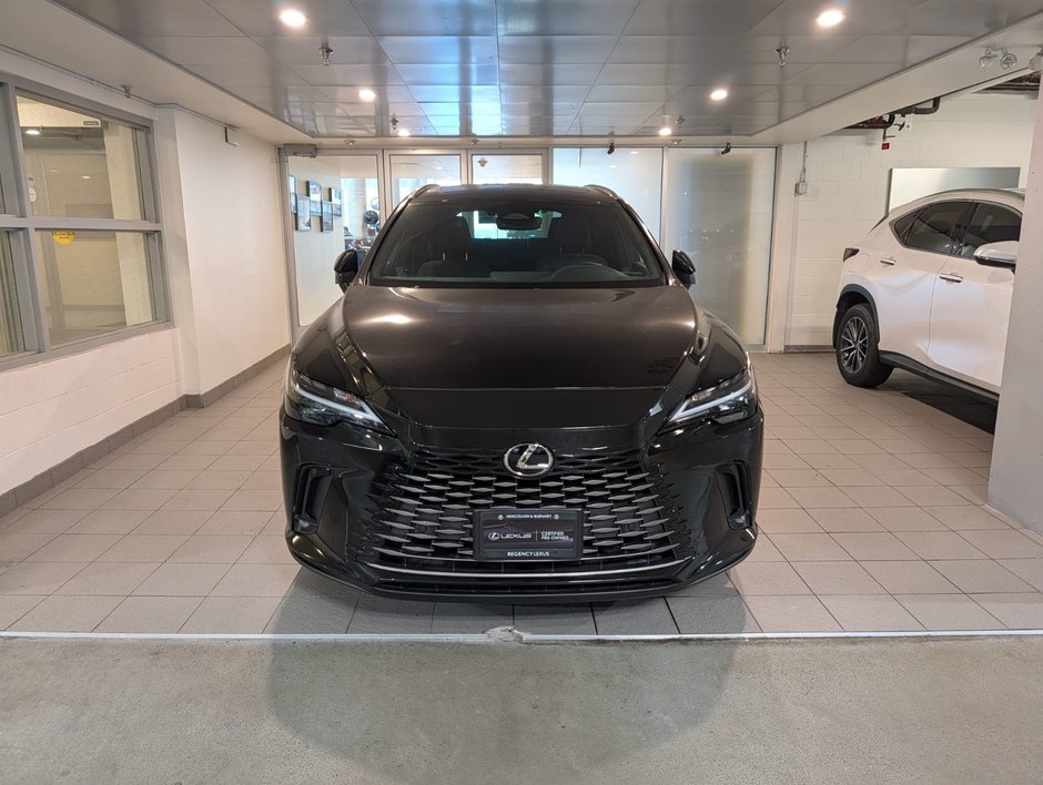 2023 Lexus RX 350-1