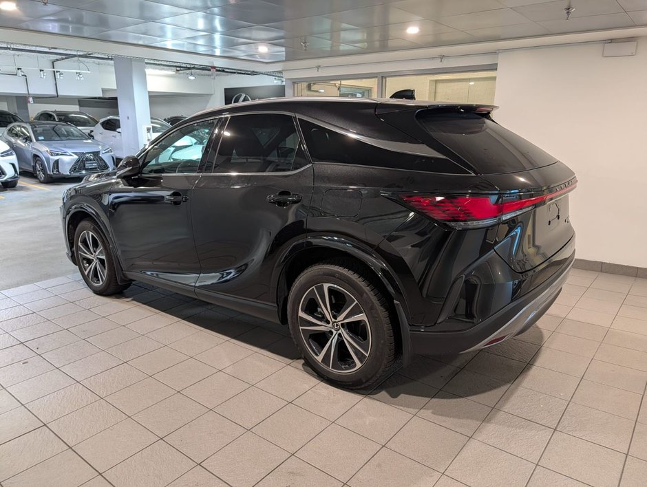 2023 Lexus RX 350-2