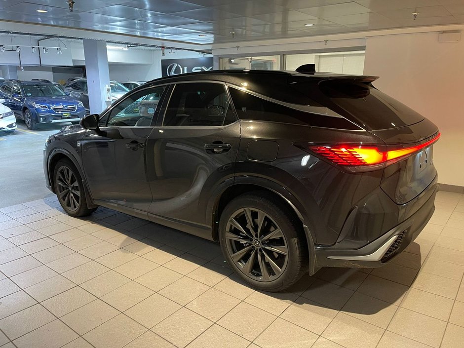 2024 Lexus RX 350-2