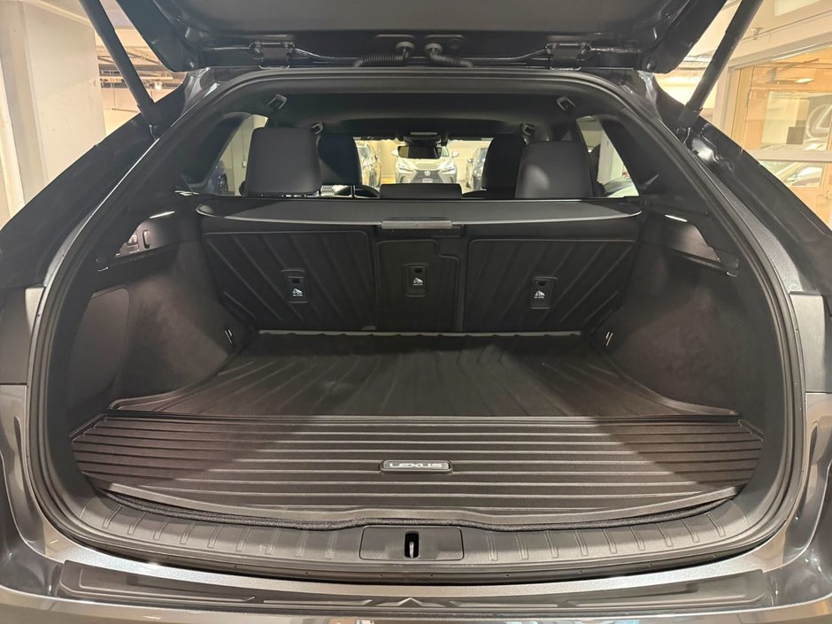 2024 Lexus RX 350 PREMIUM PACKAGE-8