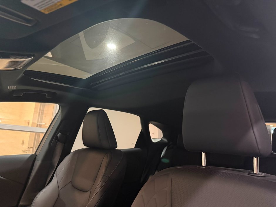 2024 Lexus RX 350 PREMIUM PACKAGE-19