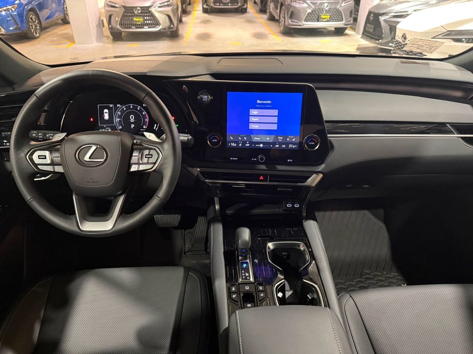 2024 Lexus RX 350 PREMIUM PACKAGE-10