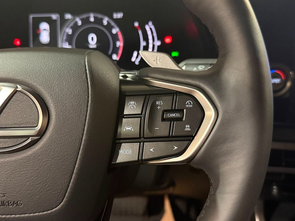 2024 Lexus RX 350 PREMIUM PACKAGE-13