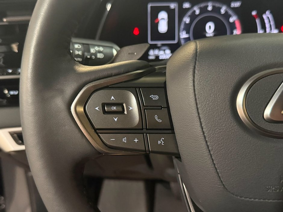 2024 Lexus RX 350 PREMIUM PACKAGE-12