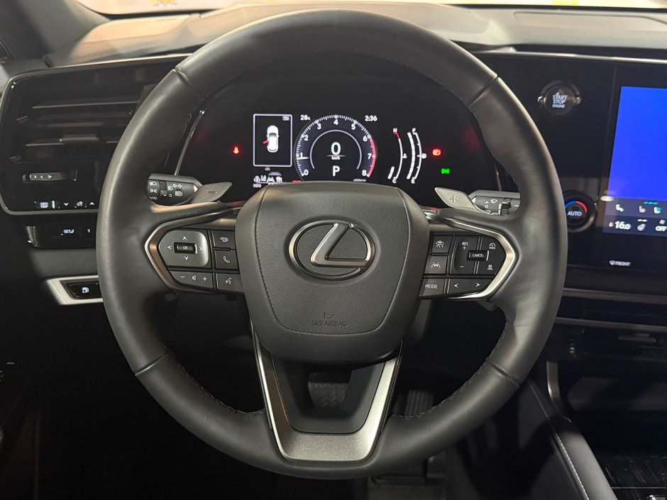 2024 Lexus RX 350 PREMIUM PACKAGE-11