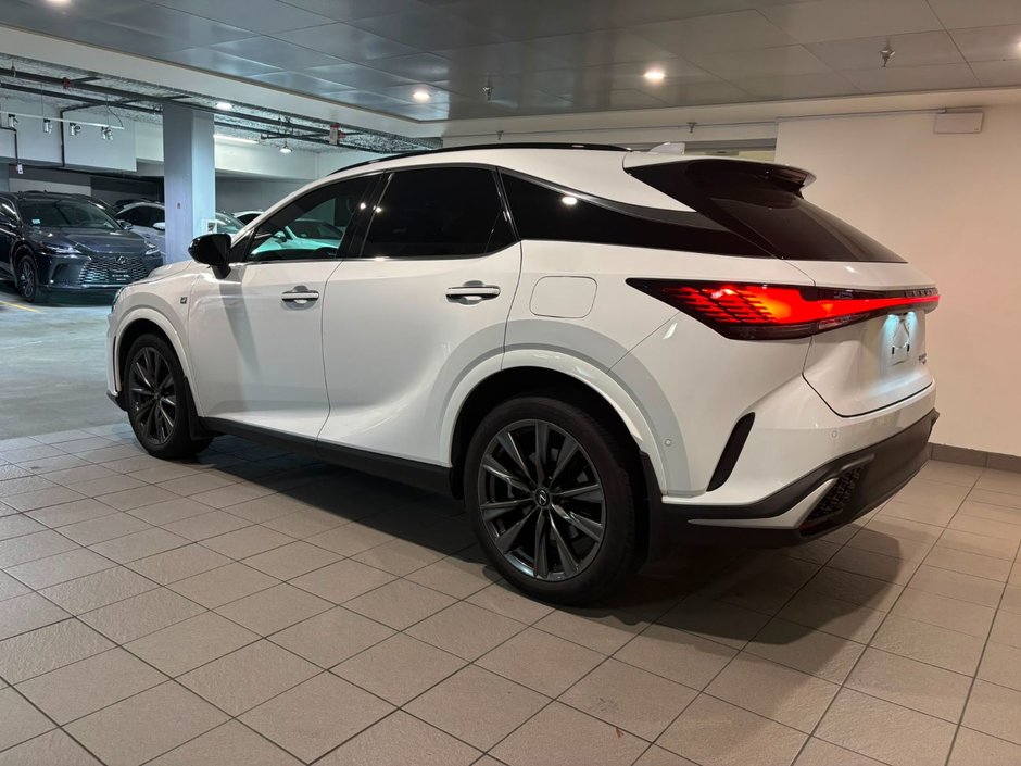 2024 Lexus RX 350-3