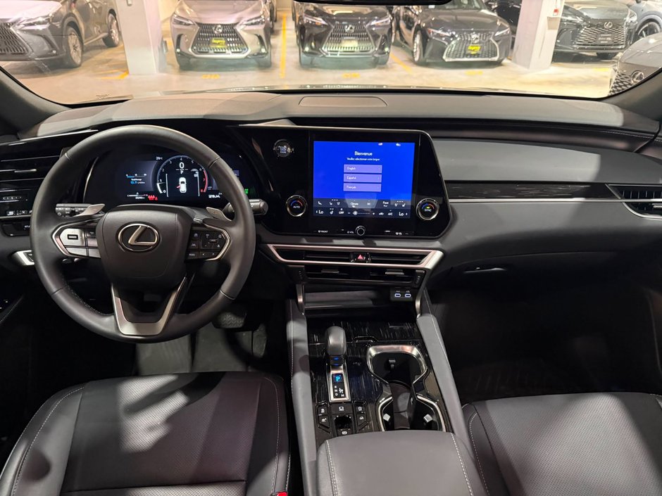 2025 Lexus RX 350-3