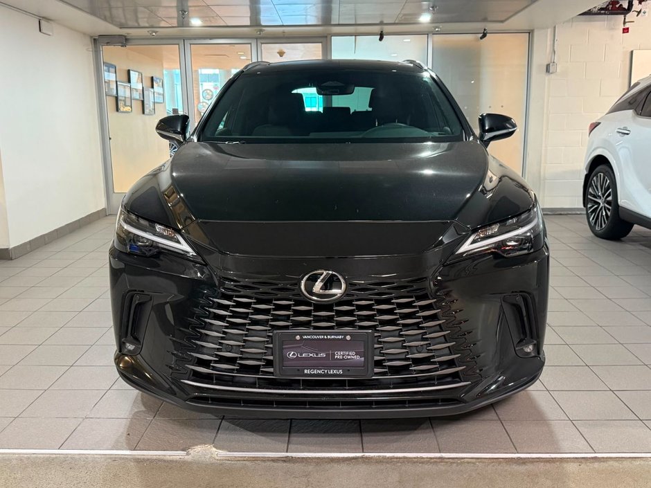 2025 Lexus RX 350-1