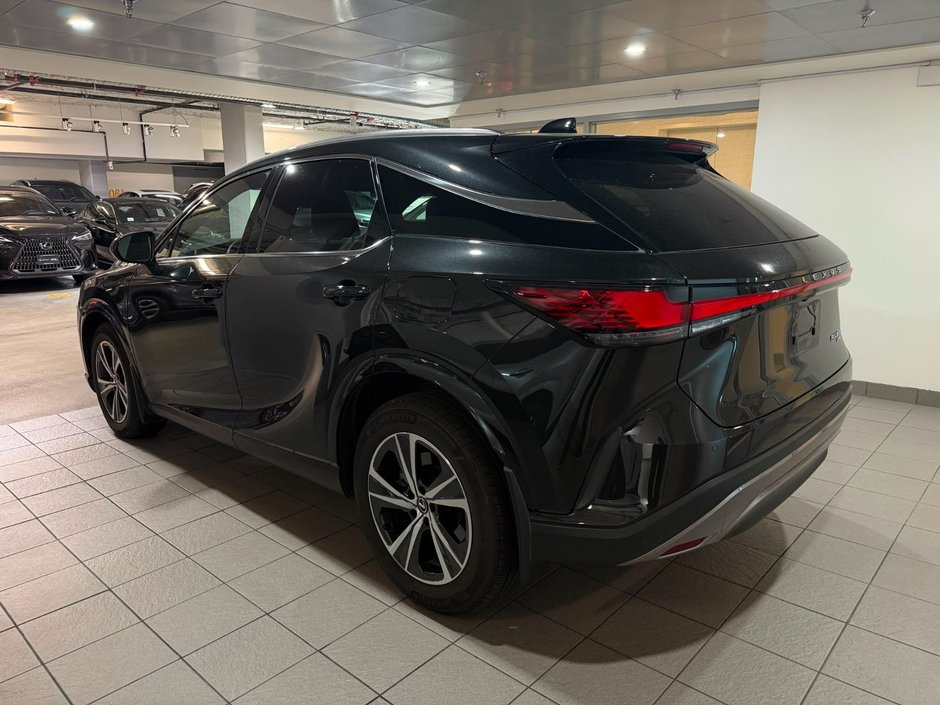 2025 Lexus RX 350-2