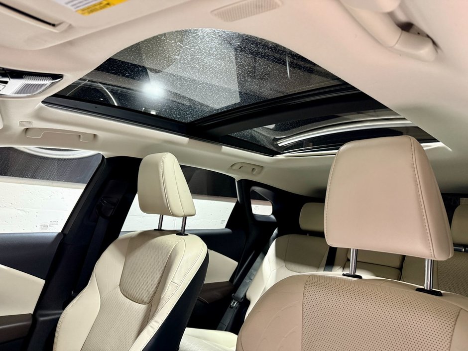 2023 Lexus RX 350h-22