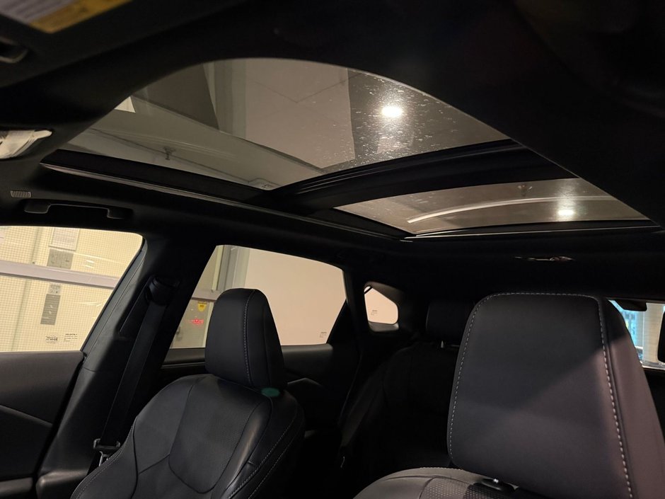 2023 Lexus RX 350h Ultra Luxury-19