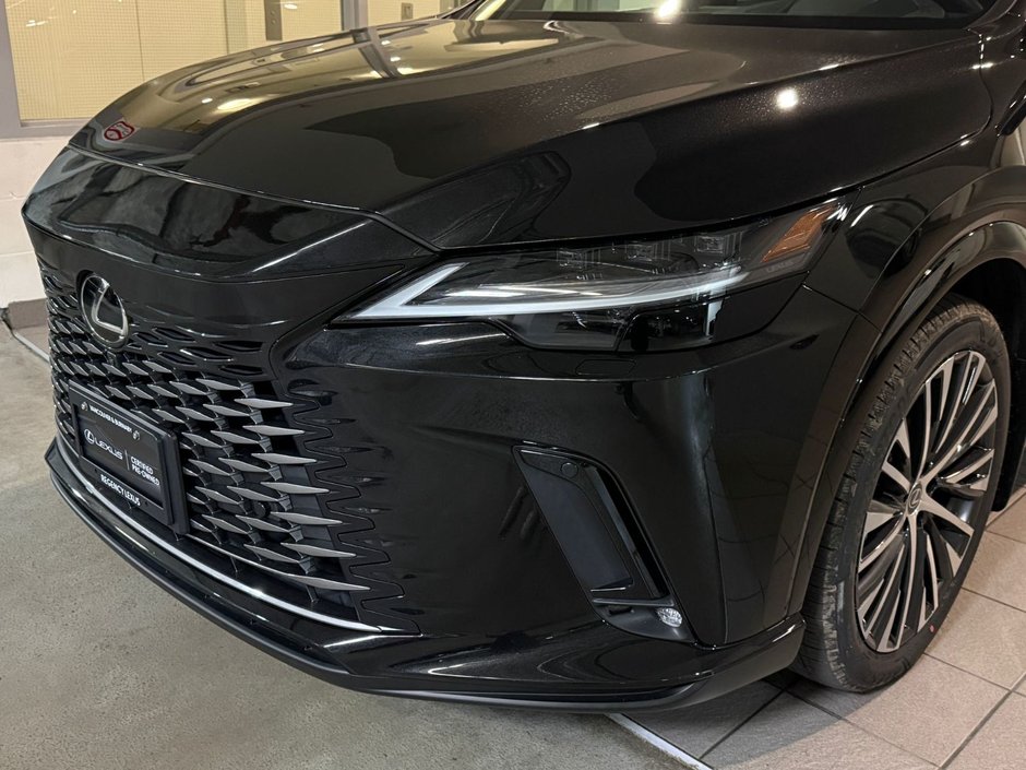 2023 Lexus RX 350h Ultra Luxury-2