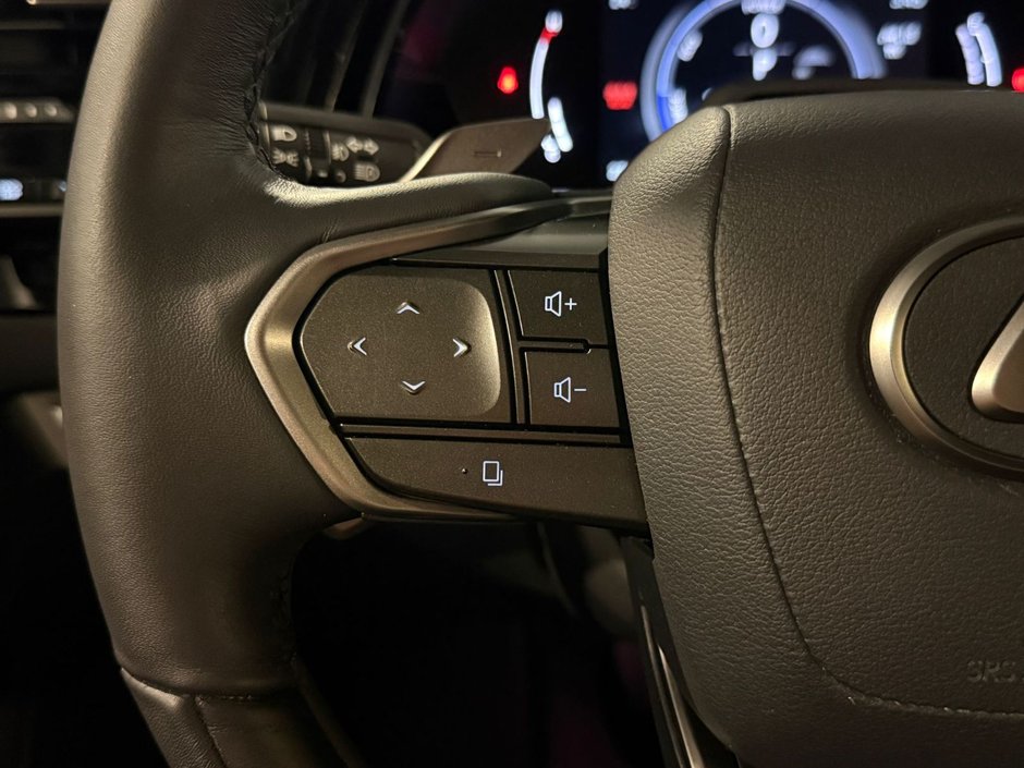 2023 Lexus RX 350h Ultra Luxury-14