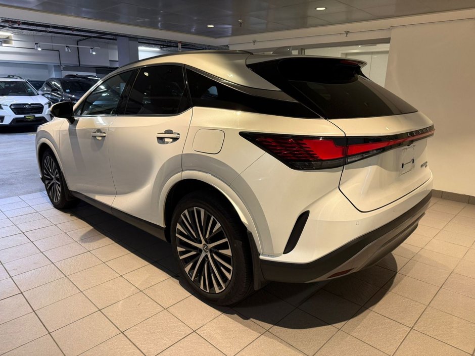 2024 Lexus RX 350h-3