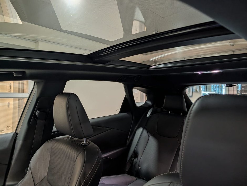 2024 Lexus RX 350h-17
