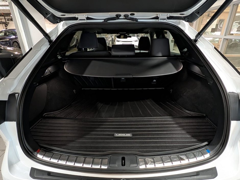 2024 Lexus RX 350h-7