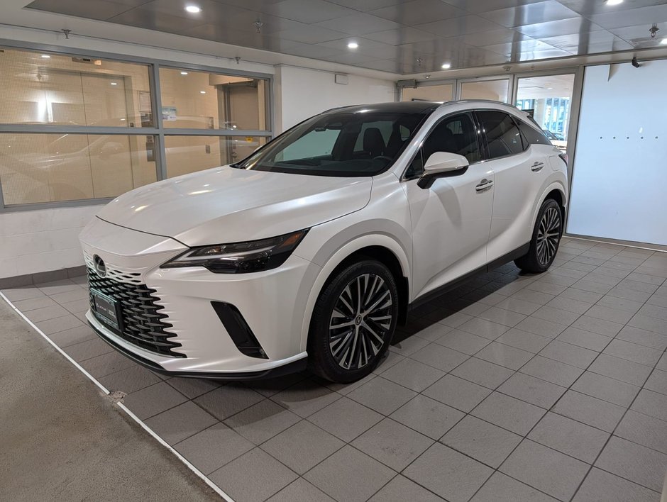 2024 Lexus RX 350h-0