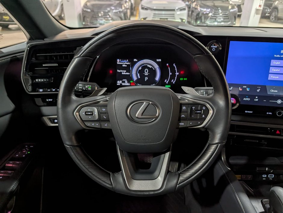 2024 Lexus RX 350h-10
