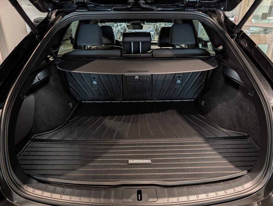 2024 Lexus RX 350h Premium-8