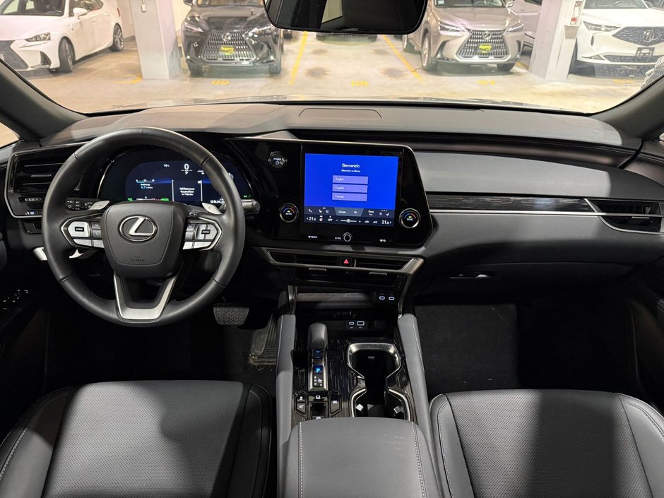 2025 Lexus RX 350h-3