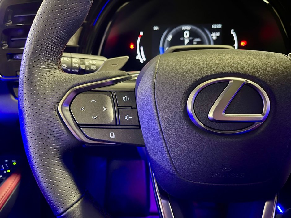2023 Lexus RX 500H HYBRID F-SPORT#3-15