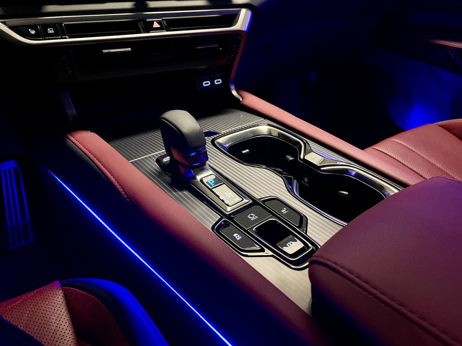 2023 Lexus RX 500H HYBRID F-SPORT#3-18