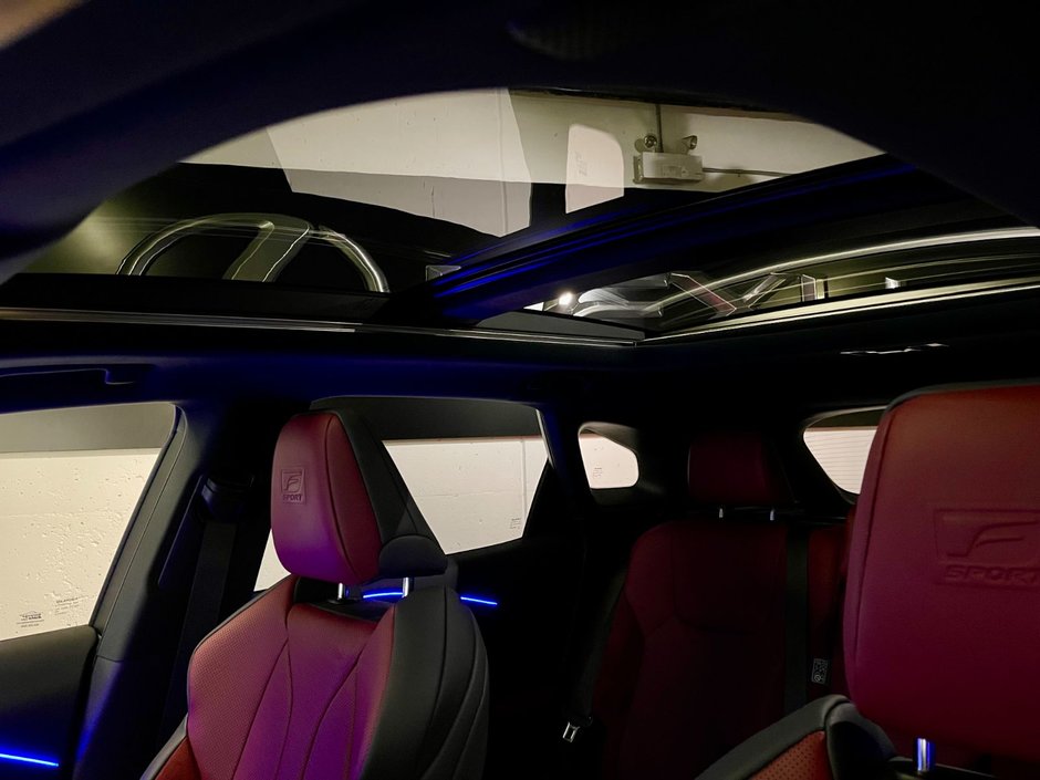 2023 Lexus RX 500H HYBRID F-SPORT#3-22