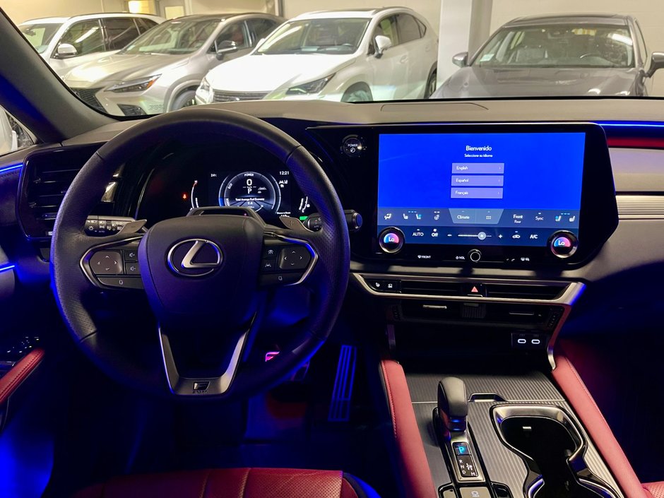 2023 Lexus RX 500H HYBRID F-SPORT#3-14