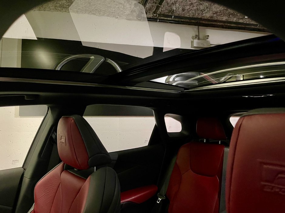 2023 Lexus RX 500H F SPORT 2-19