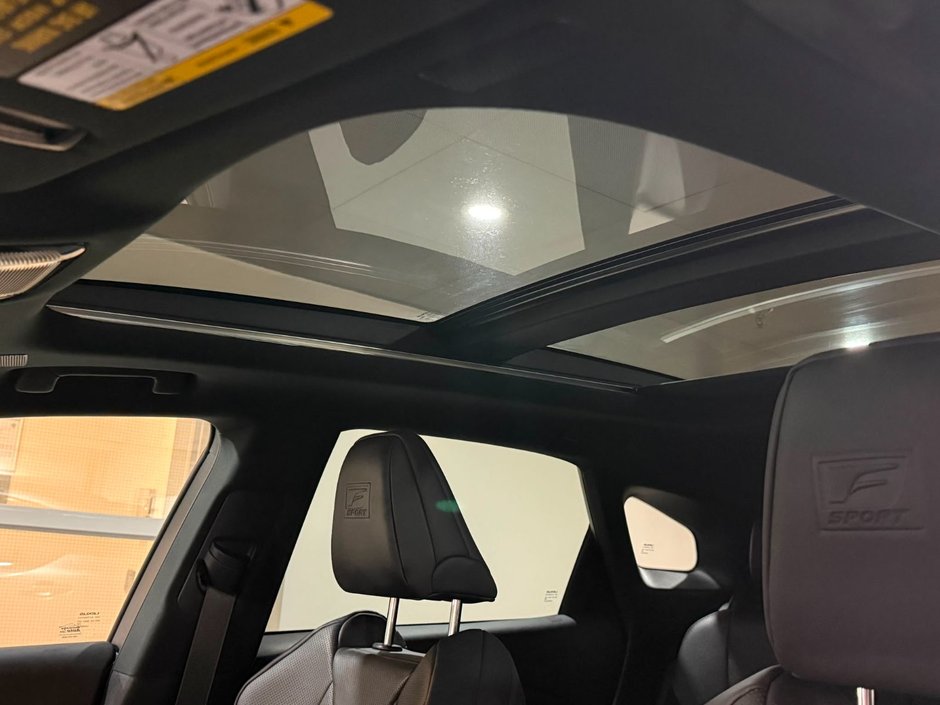 2023 Lexus RX 500h-19